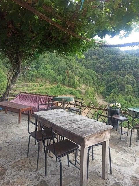 Δεντρόσπιτα στην Ελλάδα & Αγροτουρισμός στον Δέντρο Σκουληκαριάς Νομού Άρτας!