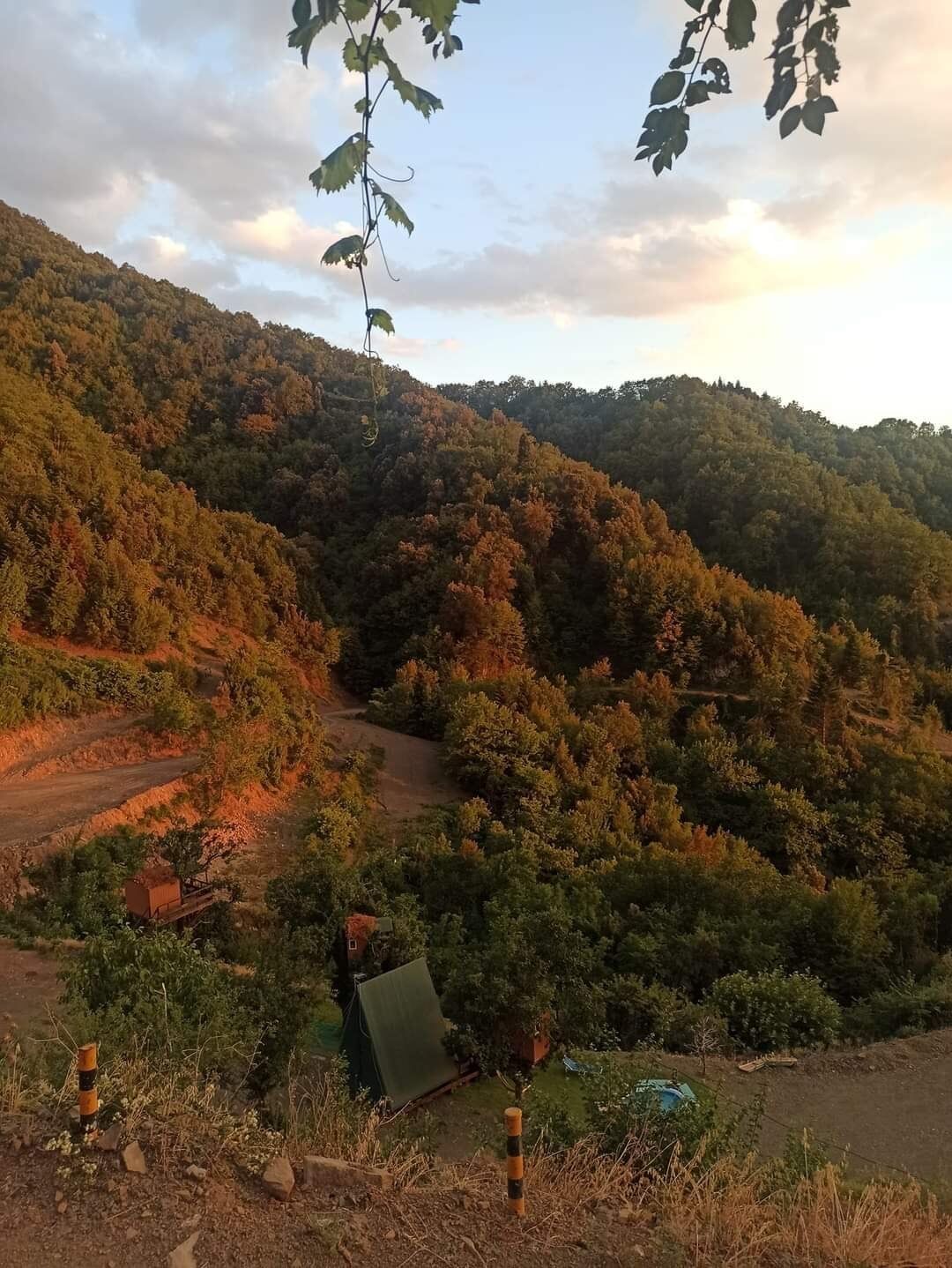 Δεντρόσπιτα στην Ελλάδα & Αγροτουρισμός στον Δέντρο Σκουληκαριάς Νομού Άρτας!