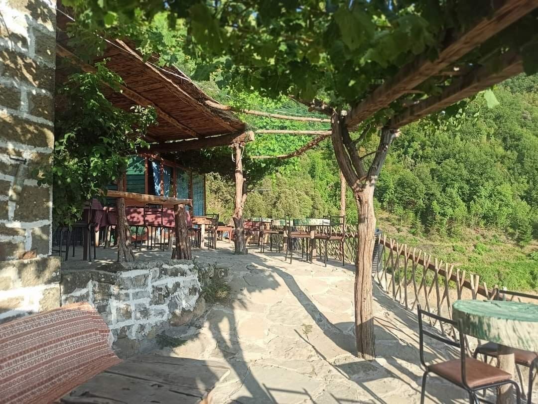 Δεντρόσπιτα στην Ελλάδα & Αγροτουρισμός στον Δέντρο Σκουληκαριάς Νομού Άρτας!