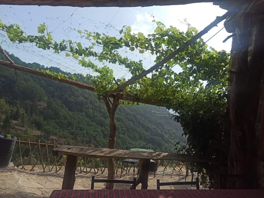 Δεντρόσπιτα στην Ελλάδα & Αγροτουρισμός στον Δέντρο Σκουληκαριάς Νομού Άρτας!