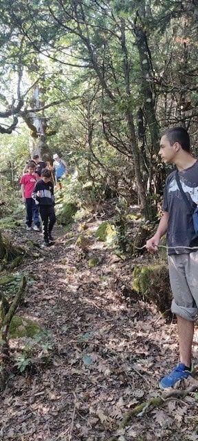 Δεντρόσπιτα στην Ελλάδα, Αγροτουρισμός Δένδρο Εξορμήσεις