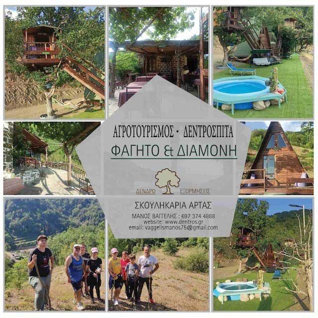 Δεντρόσπιτα στην Ελλάδα, Αγροτουρισμός Δένδρο Εξορμήσεις