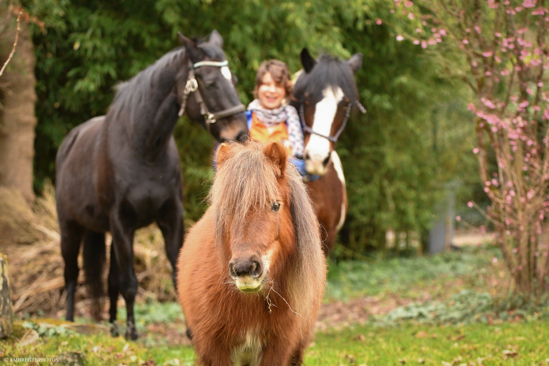 Prendre confiance grâce aux chevaux