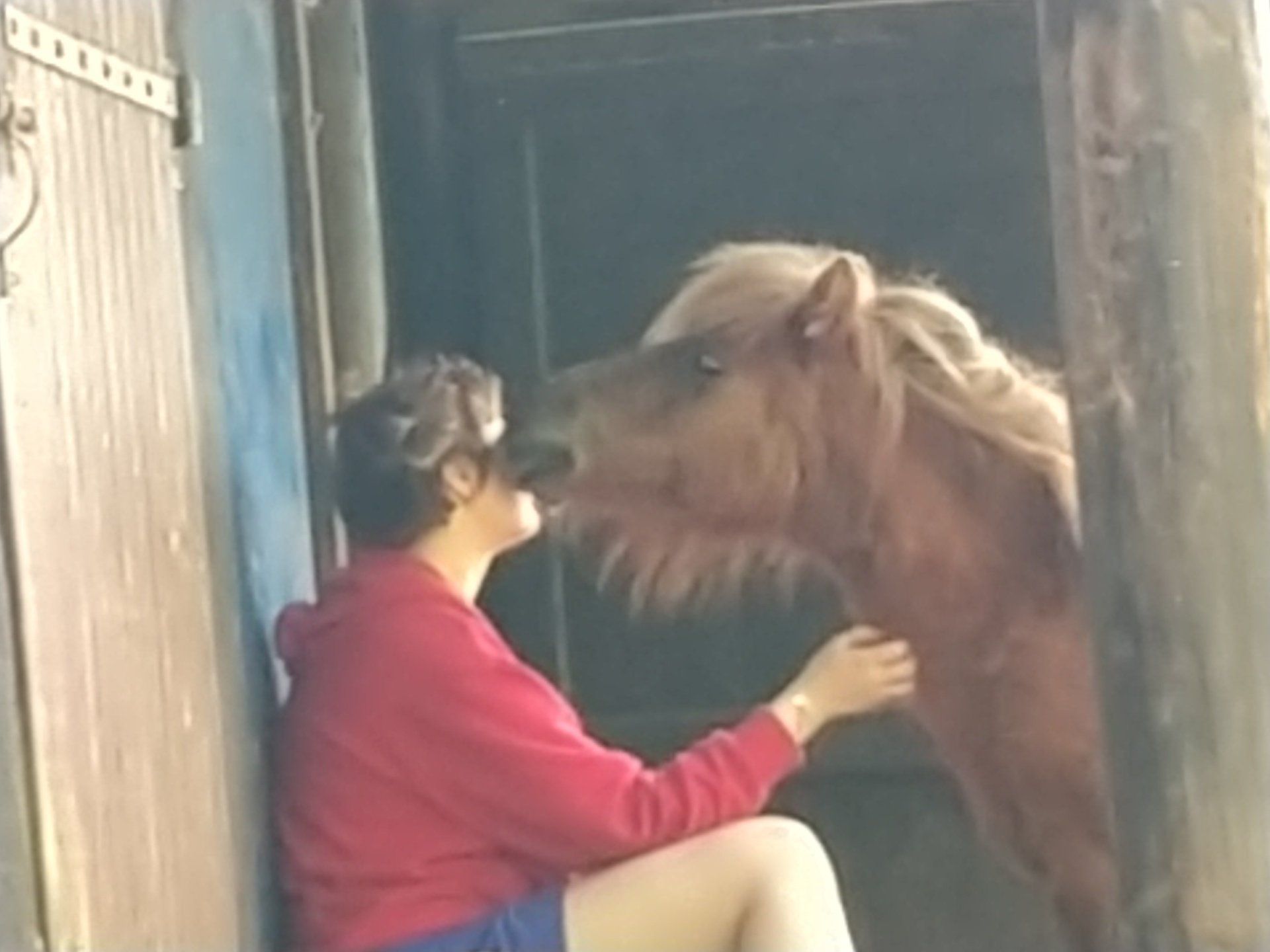 Psychologie aidée par les chevaux