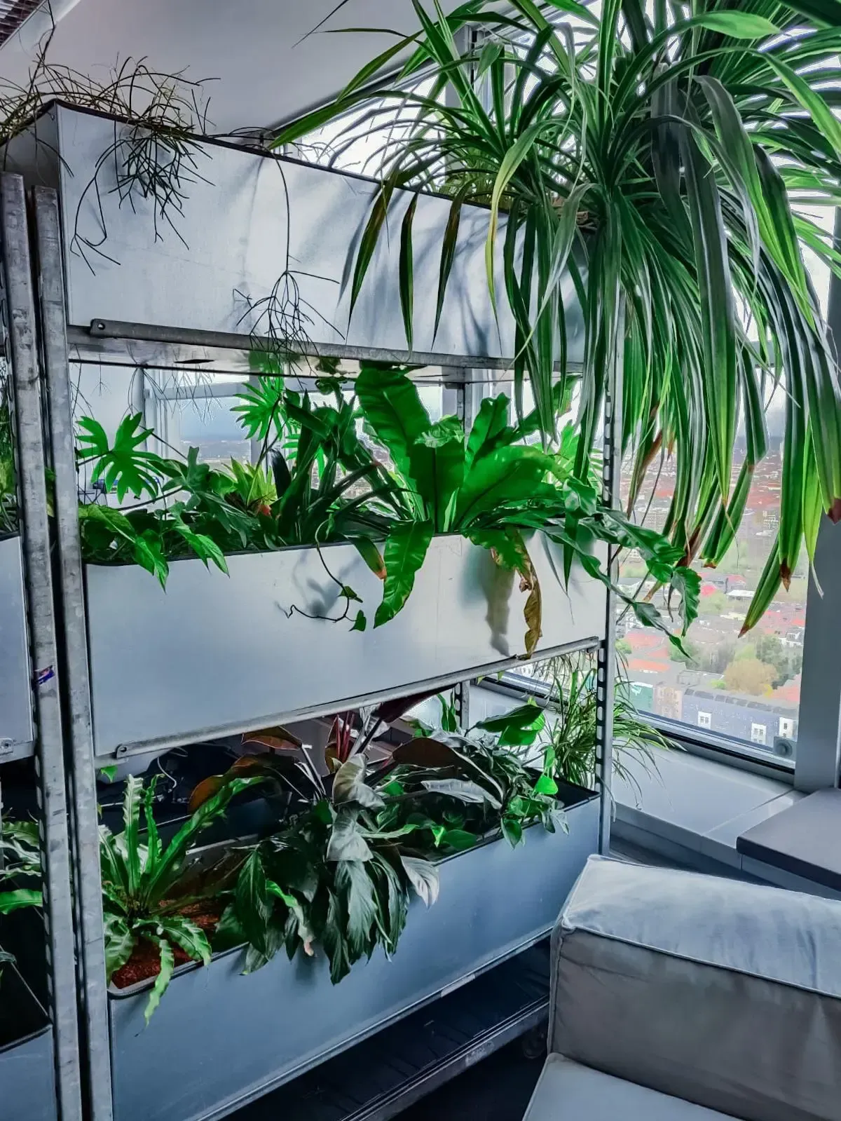 Ein Raum mit vielen Pflanzen und einer Couch.