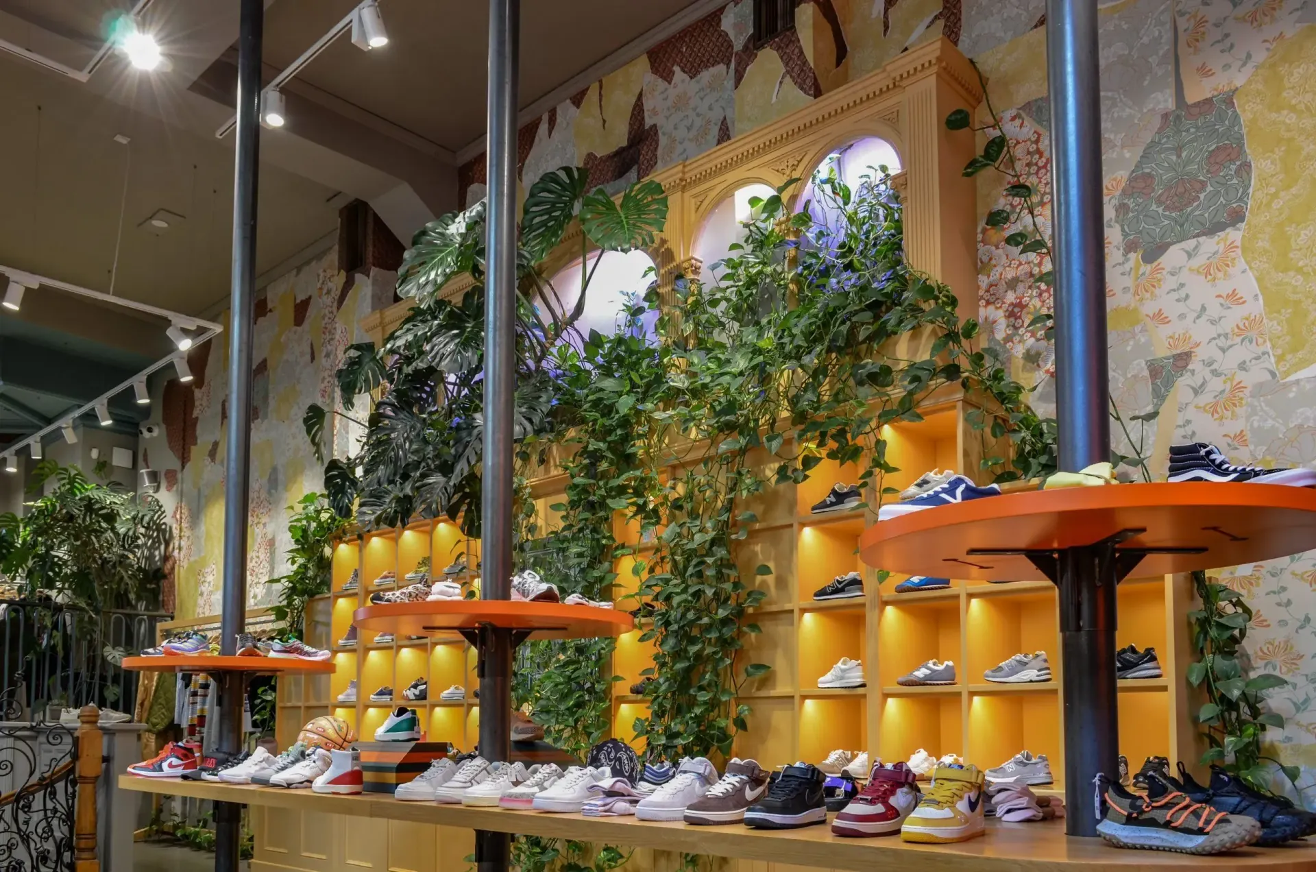 Ein Geschäft voller Schuhe und Pflanzen.