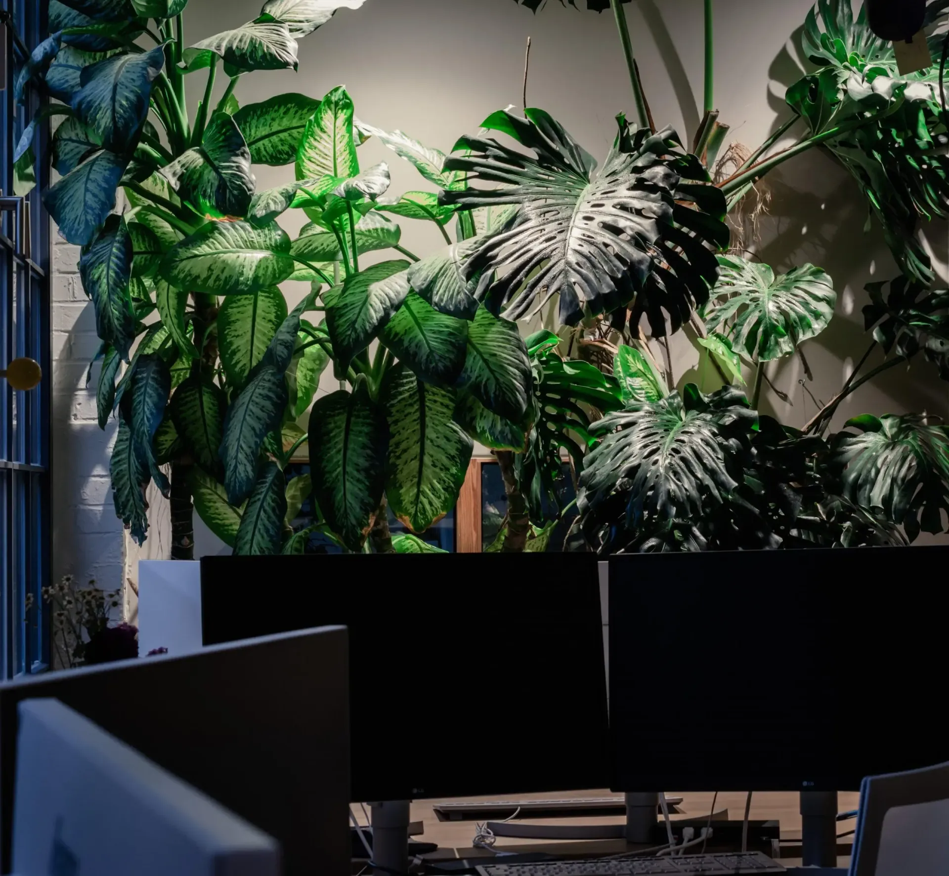 Ein Computermonitor steht vor einer Pflanzenwand