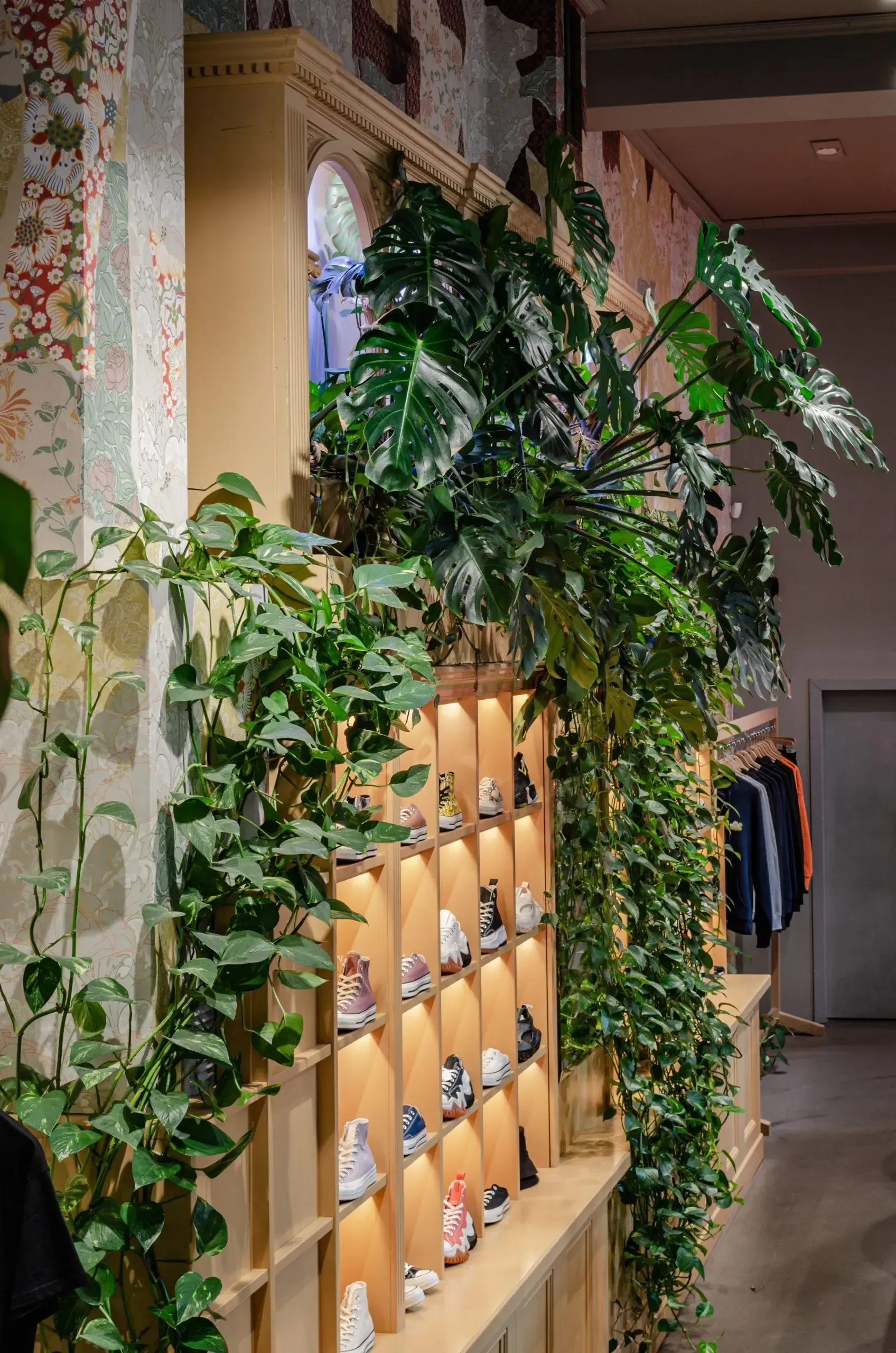 Ein Geschäft voller Schuhe und Pflanzen.