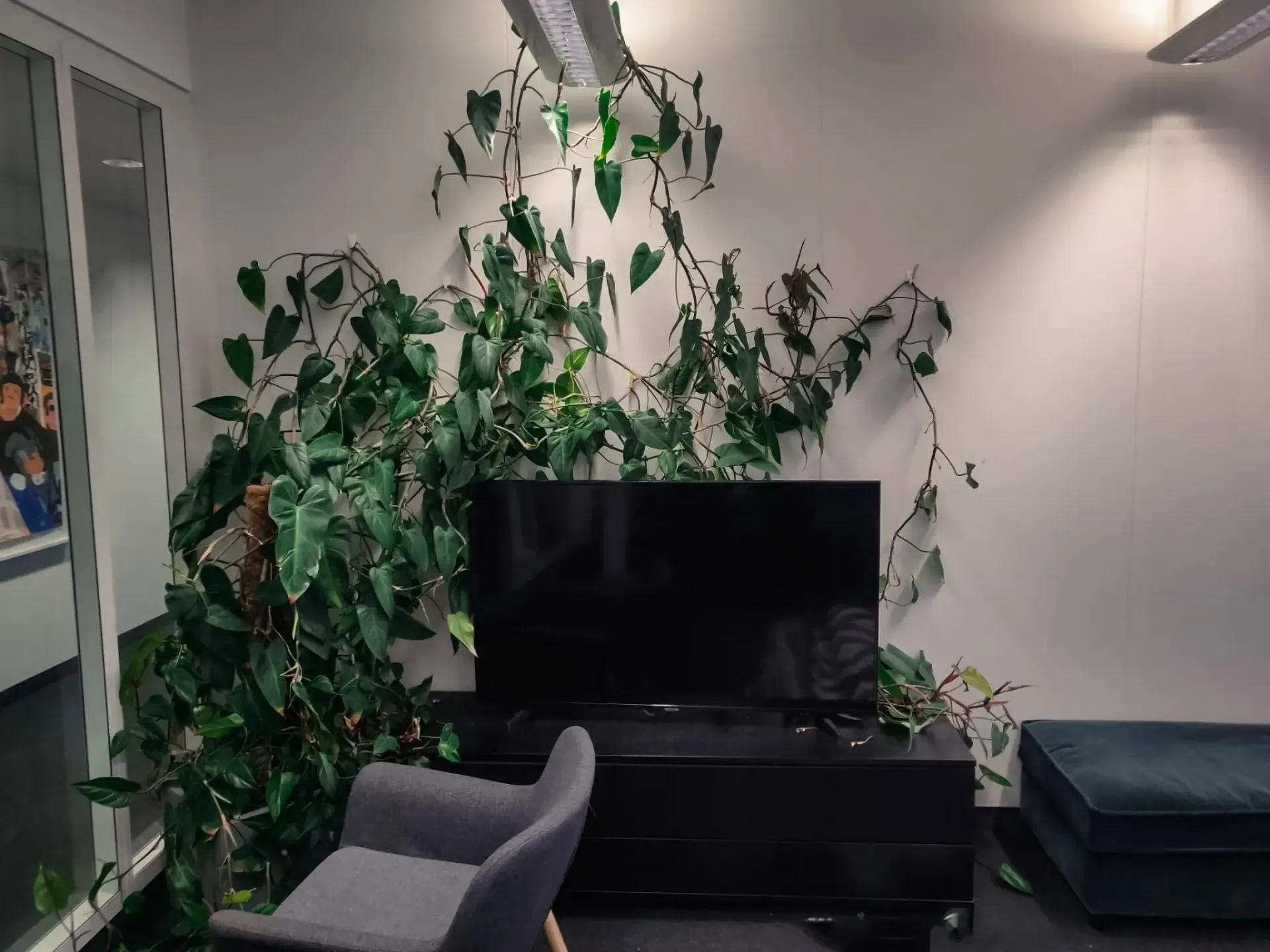 Ein Wohnzimmer mit einem Fernseher, einem Stuhl und einer Pflanze an der Wand.