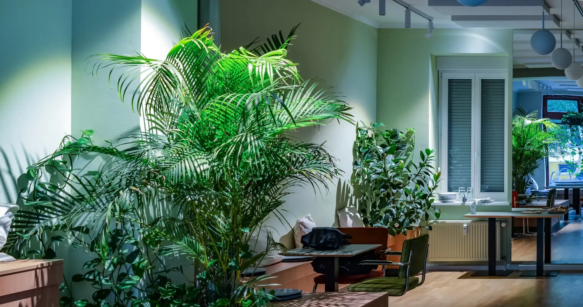 Ein Wohnzimmer mit vielen grünen Pflanzen und einem Tisch.