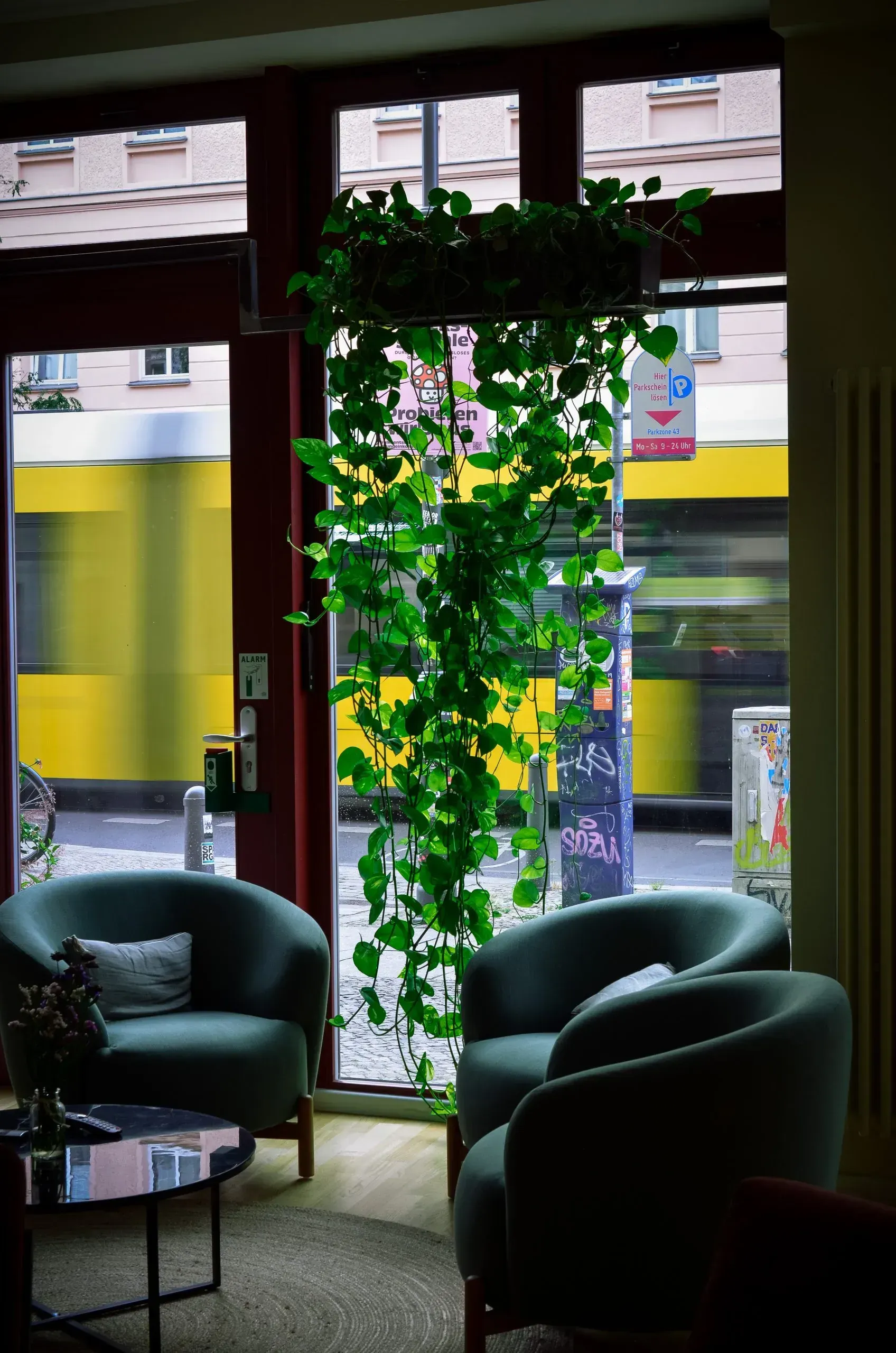 Ein Raum mit Stühlen und einer Pflanze vor einem Fenster.
