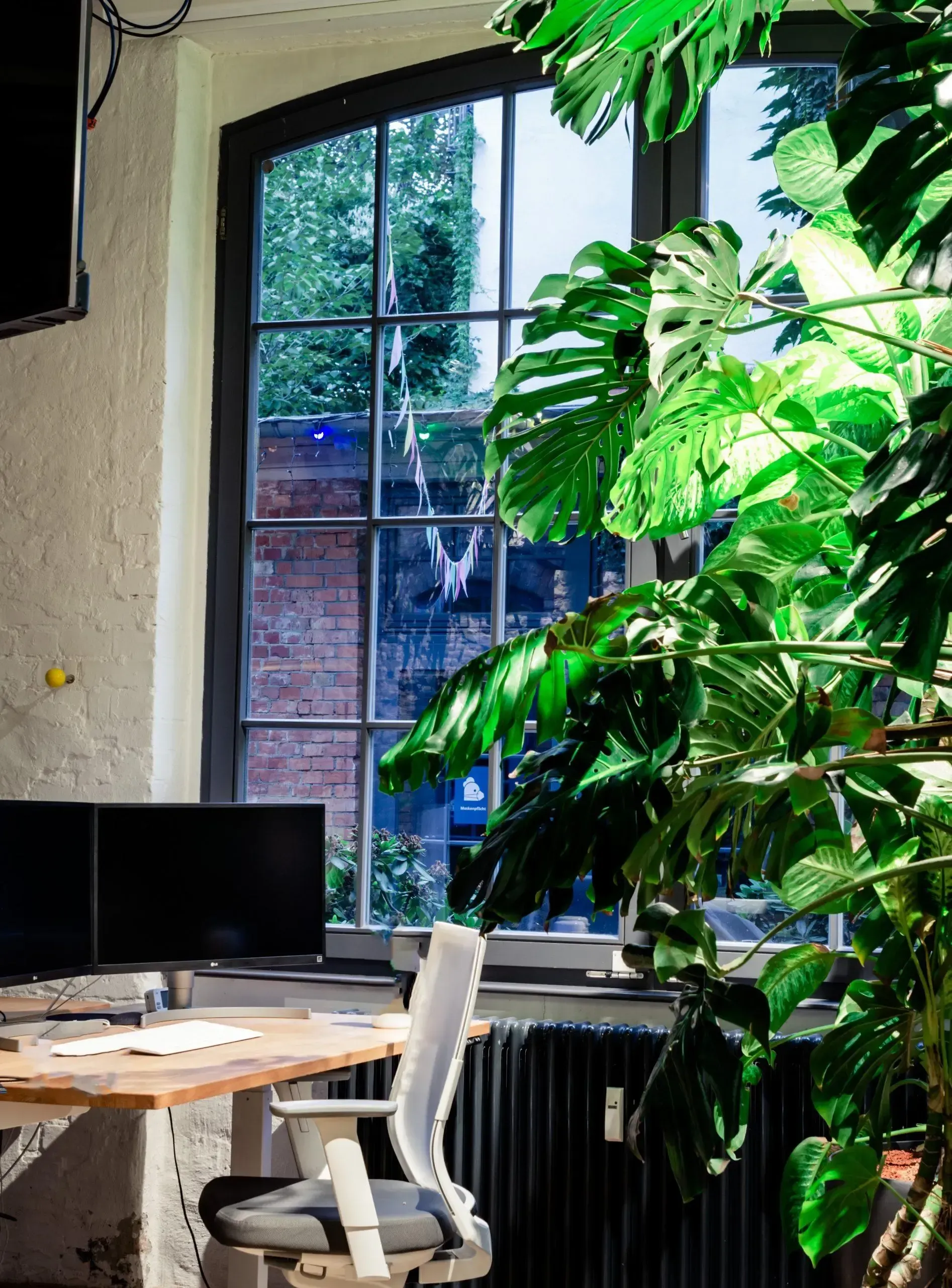 Ein Schreibtisch mit einem Computer und einer Pflanze vor einem Fenster.