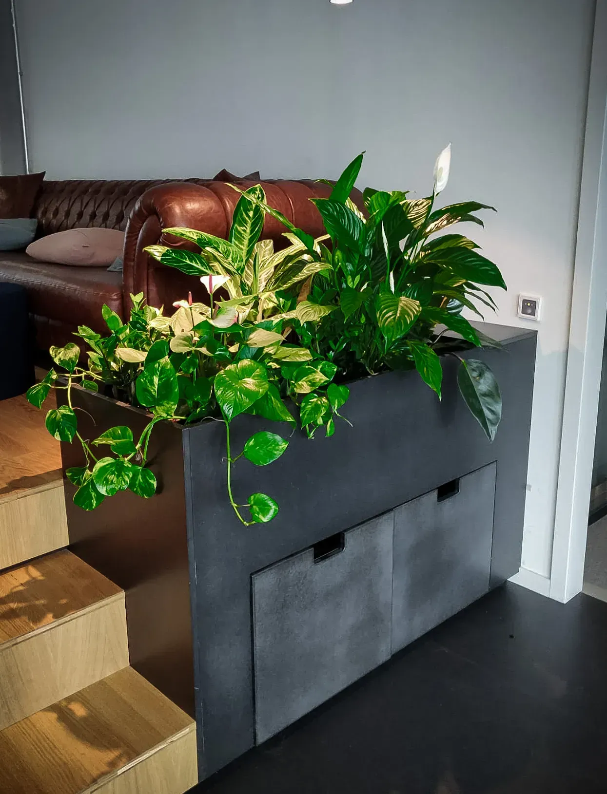 Ein Wohnzimmer mit einer Couch und einer Treppe und einem Blumenkasten mit Pflanzen darin.