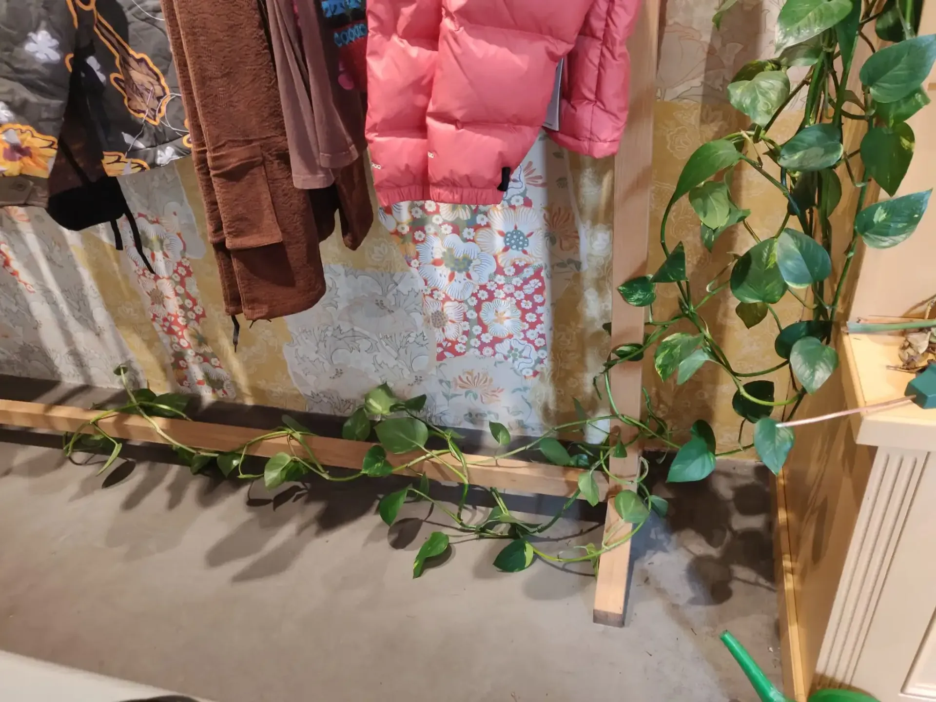 Eine rosa Jacke hängt auf einem Holzständer neben einer Pflanze.