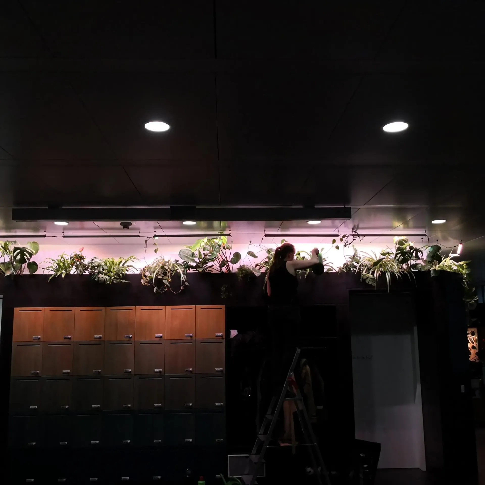 Eine Person, die auf einer Leiter in einem dunklen Raum steht