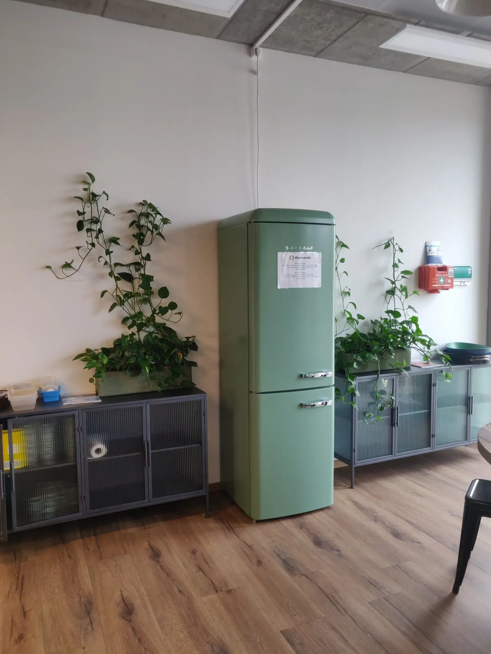 Ein grüner Kühlschrank steht in einem Raum neben einer Pflanze.