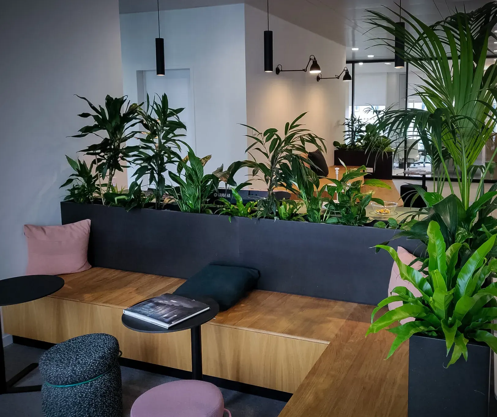 Ein Raum mit vielen Pflanzen darin