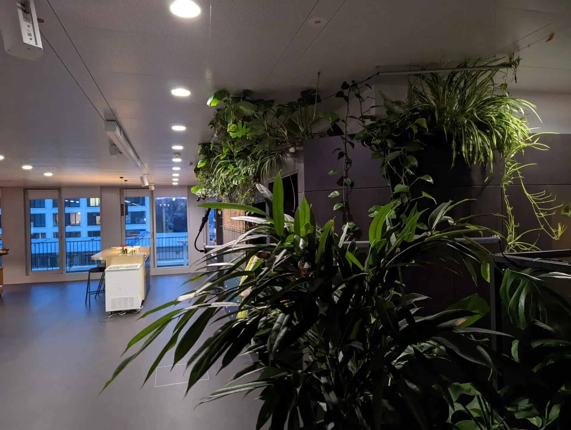 Ein Raum mit vielen Pflanzen, die von der Decke hängen