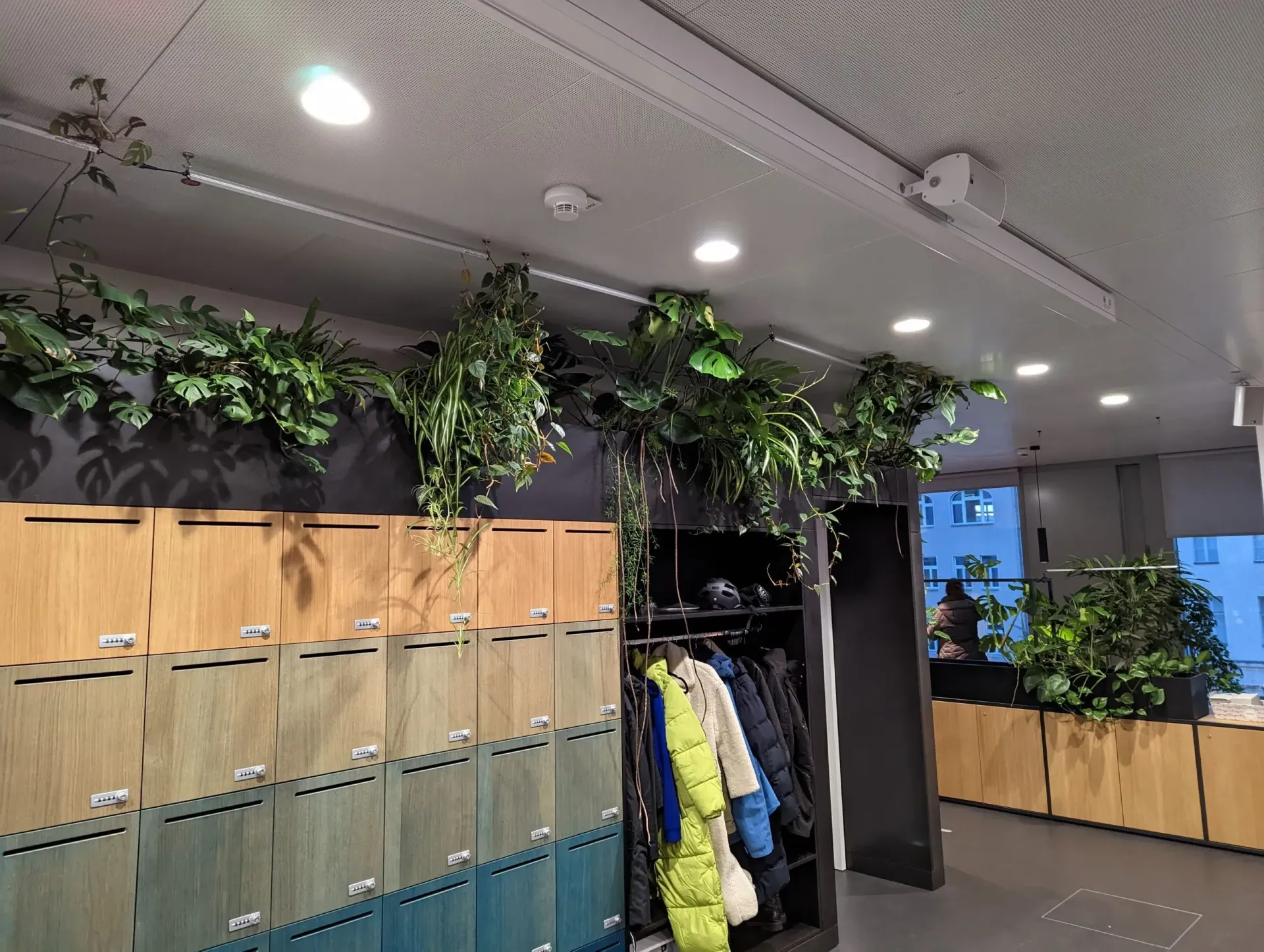 Ein Umkleideraum mit vielen Schließfächern und Pflanzen, die von der Decke hängen.