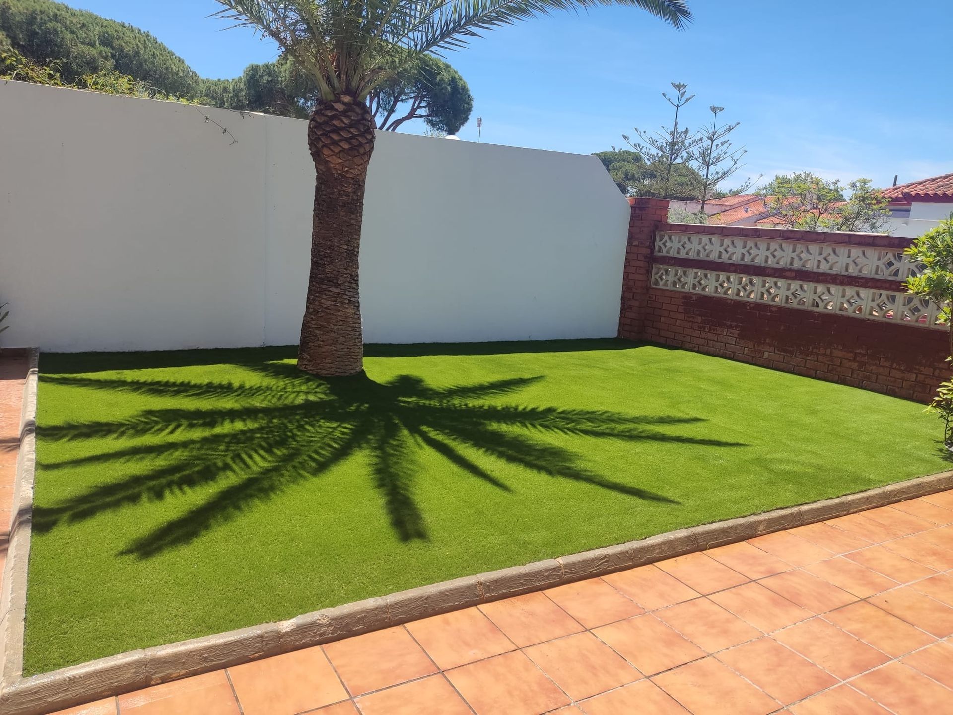 Pequeño patio ajardinado con una palmera que proyecta sombras sobre el césped de un verde brillante, junto a un patio de terracota.
