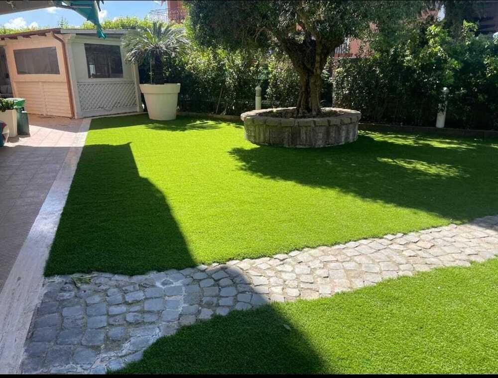 Patio trasero soleado con césped verde, senderos de piedra, un árbol y un pequeño cobertizo en la esquina.