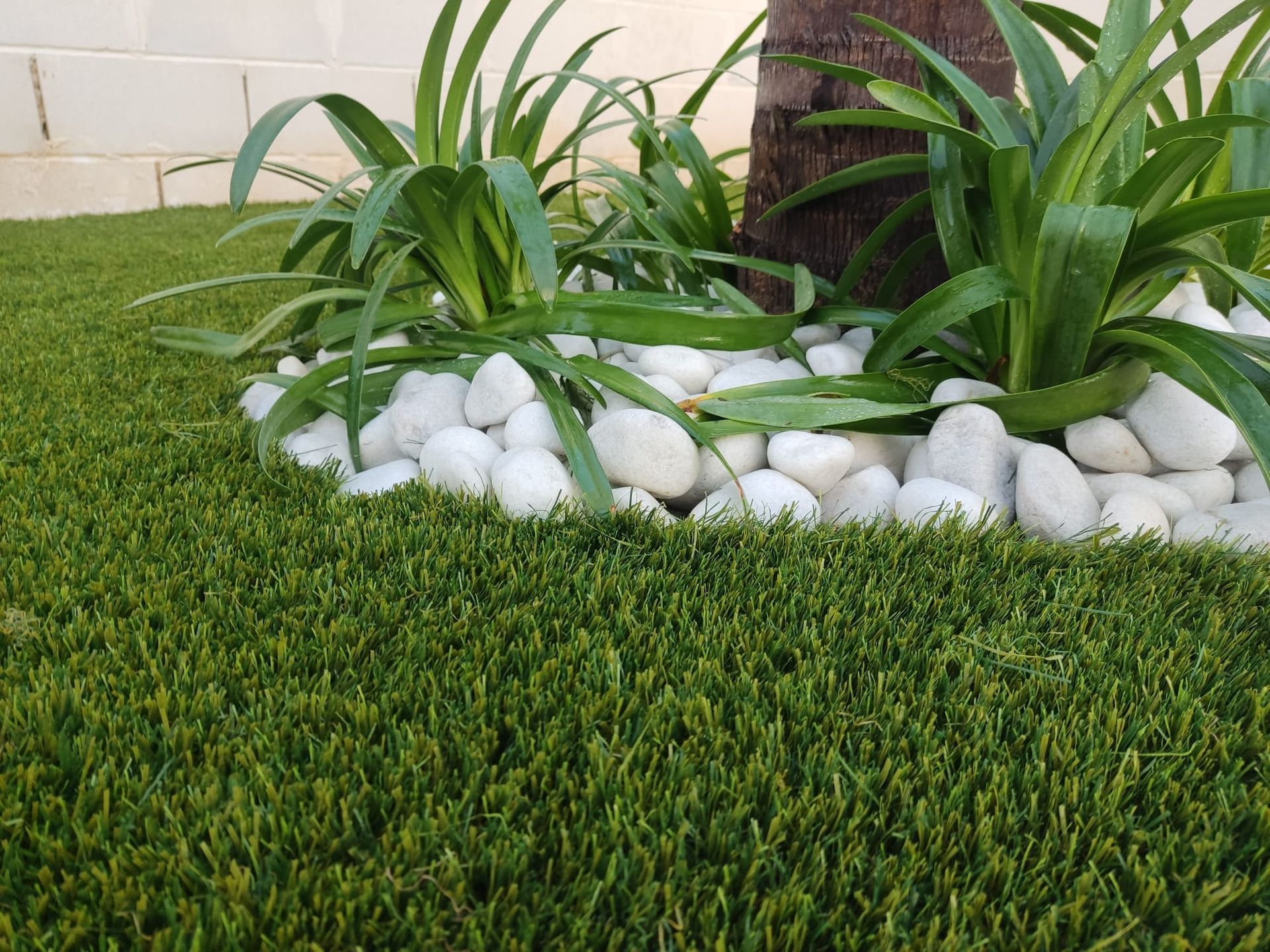 Primer plano de un parterre ajardinado con plantas verdes, rocas blancas y un césped bien cuidado.