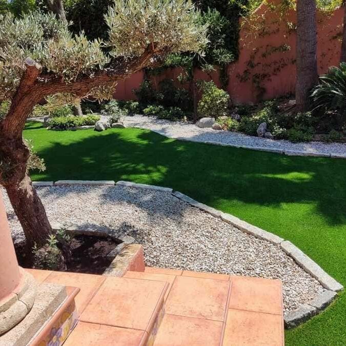 Un exuberante césped verde con un árbol en el medio.