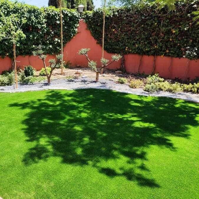 Un exuberante césped verde con una pared roja al fondo