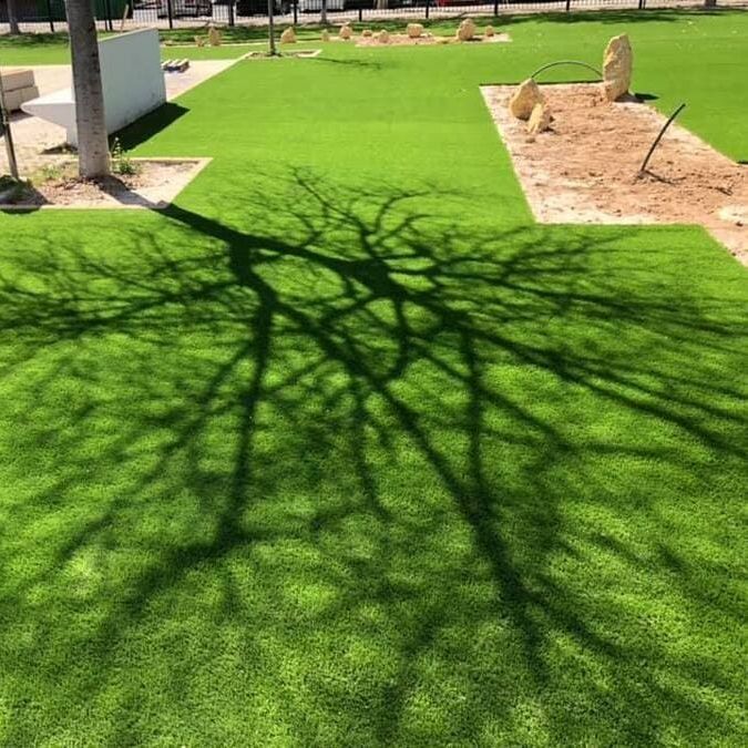 La sombra de un árbol se proyecta sobre un exuberante césped verde.