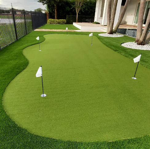 Hay un putting green en el patio trasero de una casa.