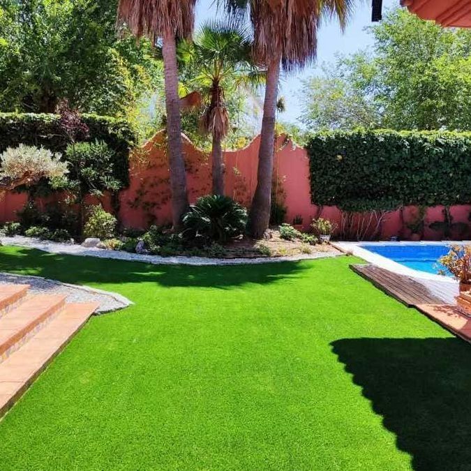 Un patio trasero con piscina y un exuberante césped verde.