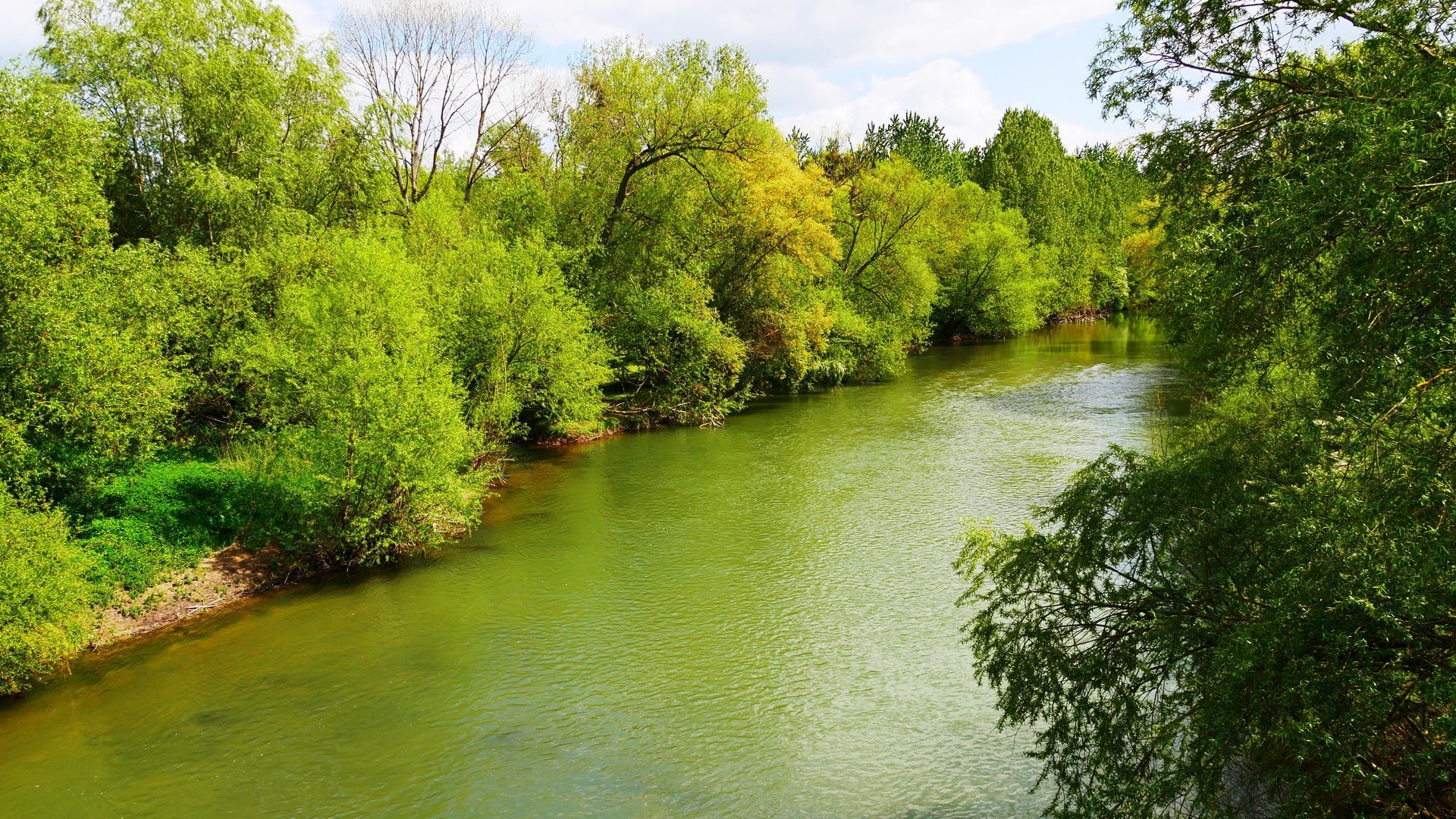 Vue sur la rivière l'Aisne et les arbres sur ses rives.