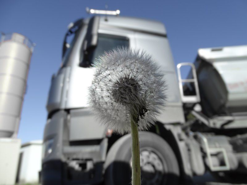 Nahaufnahme eines Löwenzahnsamenkopfes, im Hintergrund sind geparkte silberne Lastwagen verschwommen zu sehen.