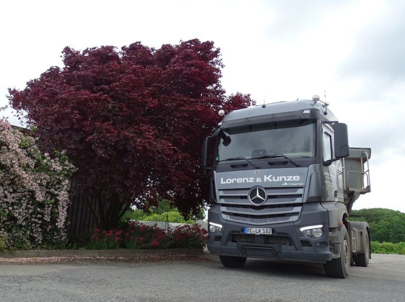 Ein grauer Mercedes-Lkw parkte neben einem rotblättrigen Baum an einer Straße.