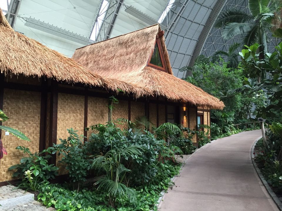 Oasen aus Holz im Indoor-Paradies