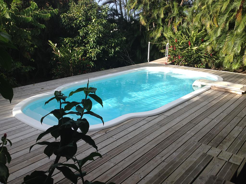 Piscine creusée avec ombre et végétation