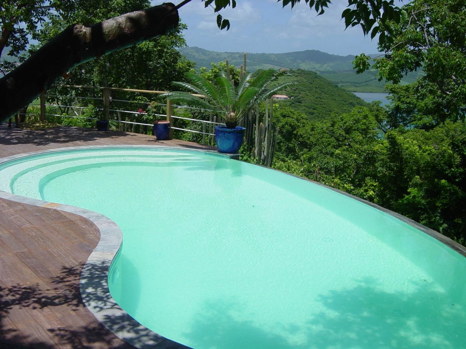 Piscine entourée de végétation