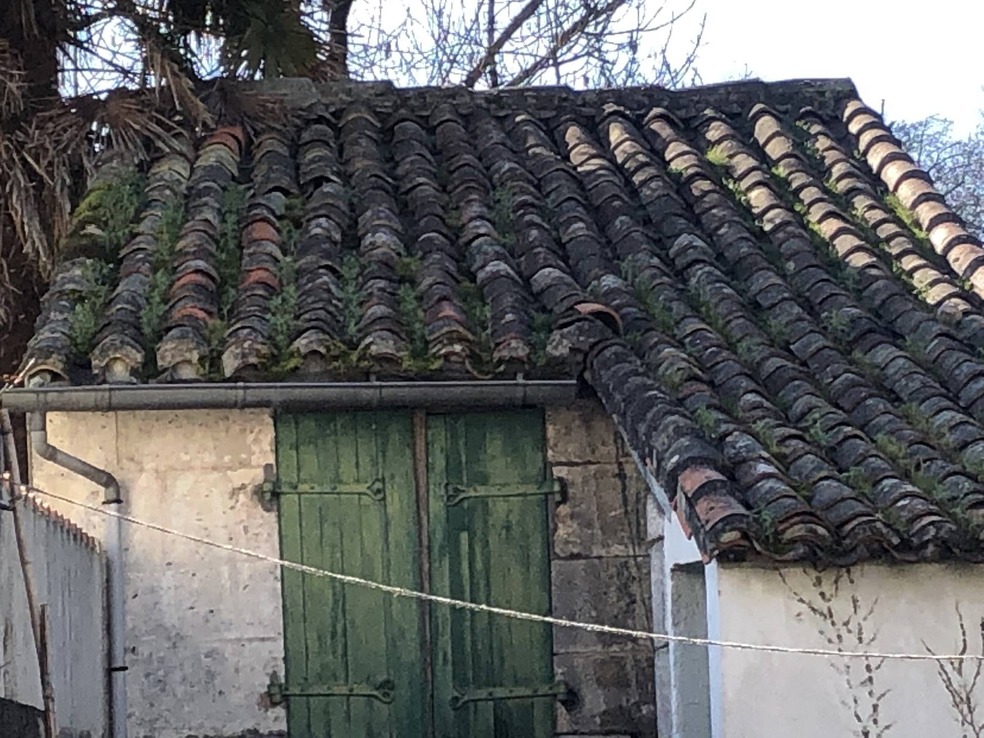 Toiture en mauvais état