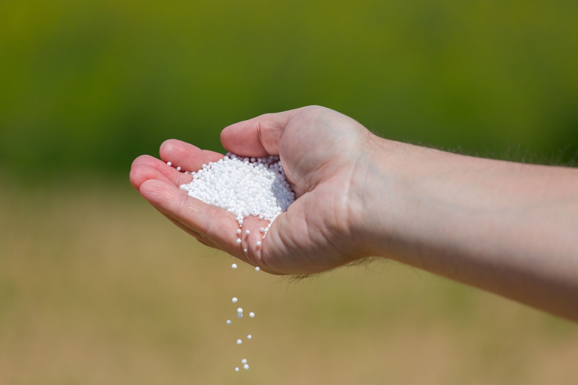 Una persona sostiene un puñado de fertilizante blanco en su mano.