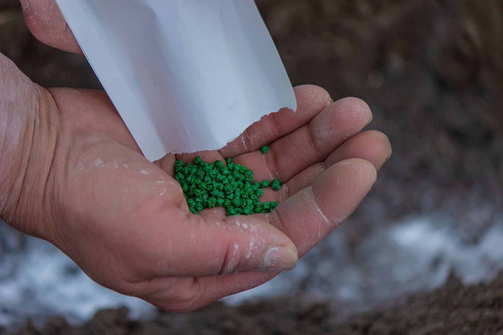 Una persona está vertiendo semillas verdes en su mano.