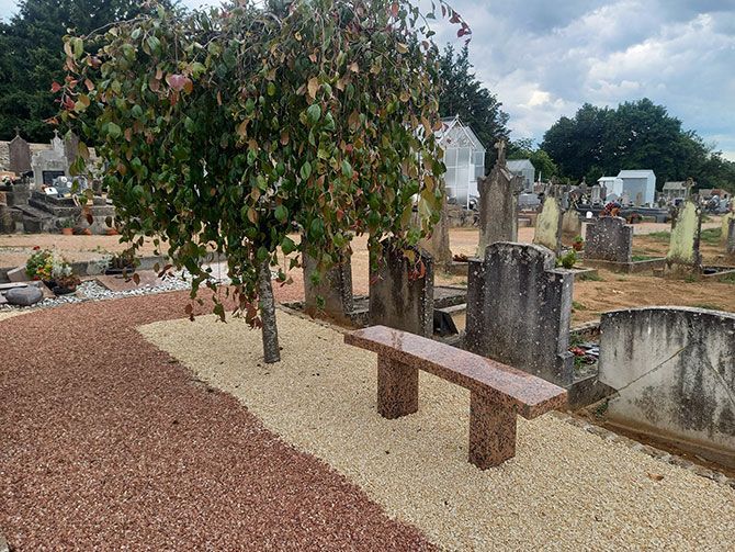 Banc en marbre avec un arbre dans un cimetière