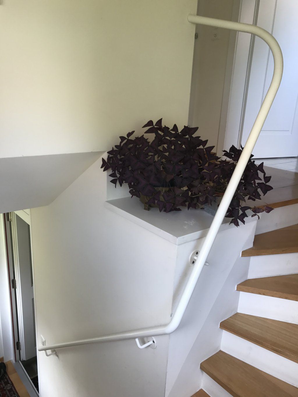 Naef Metallbau - Zurich