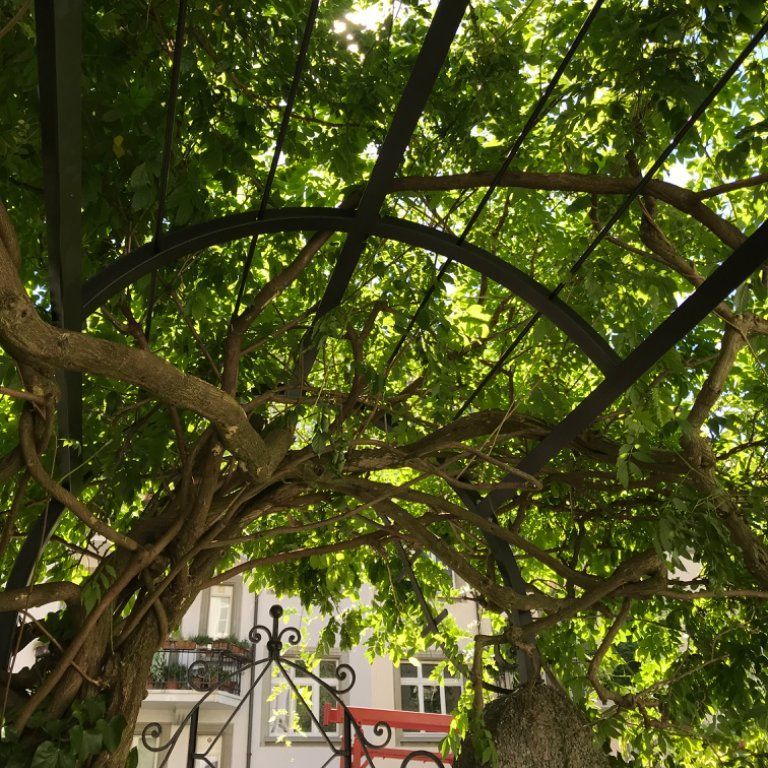 Naef Metallbau - Zurich