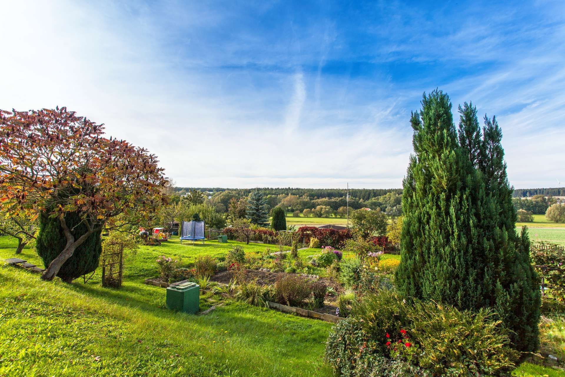 Grüne Landschaft mit Bäumen und Wiesen in Auma