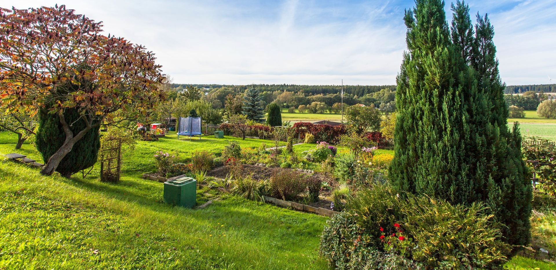 grüne Landschaft mit Bäumen und Wiesen in Auma