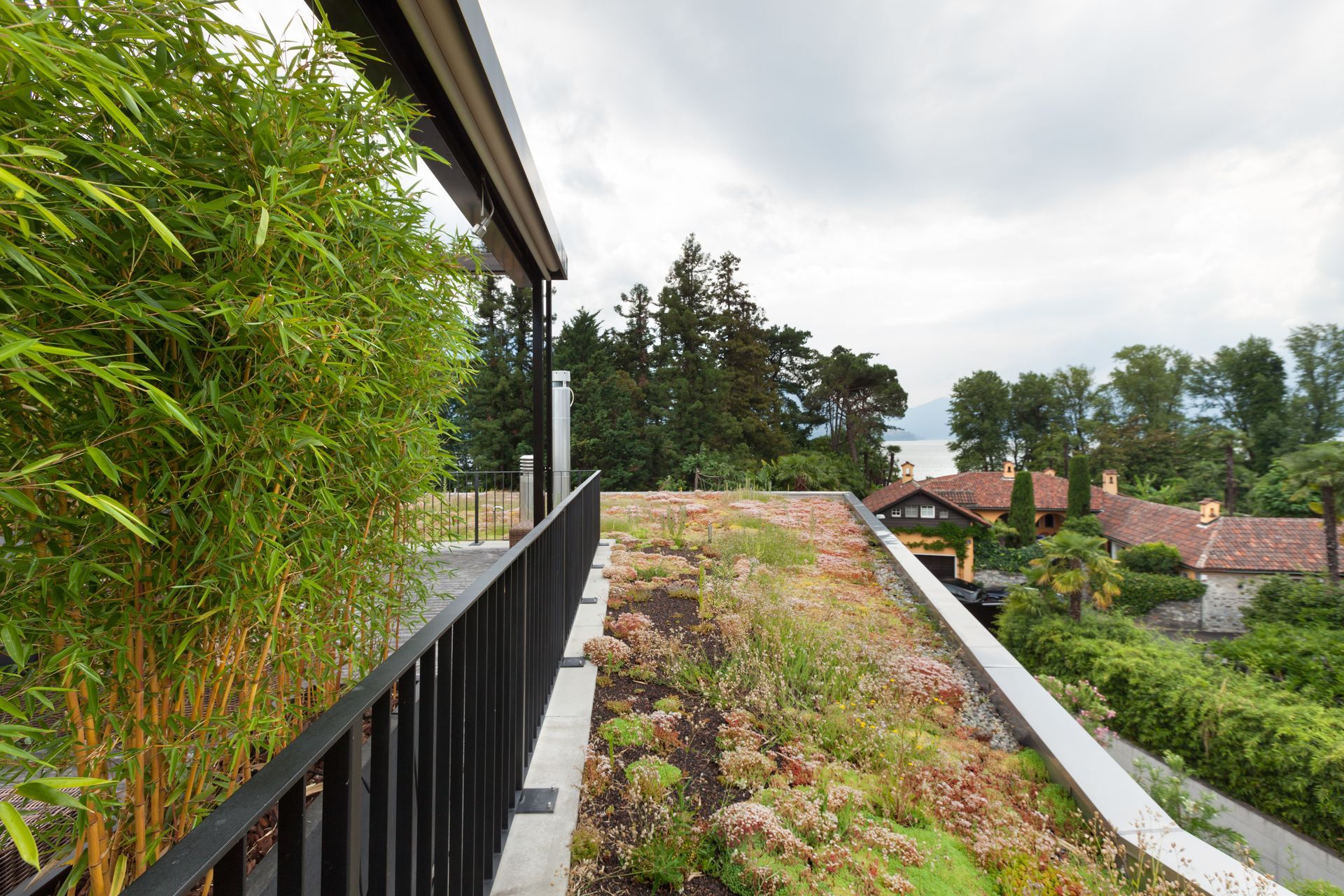 Un toit-terrasse avec des bords plats et végétalisés.