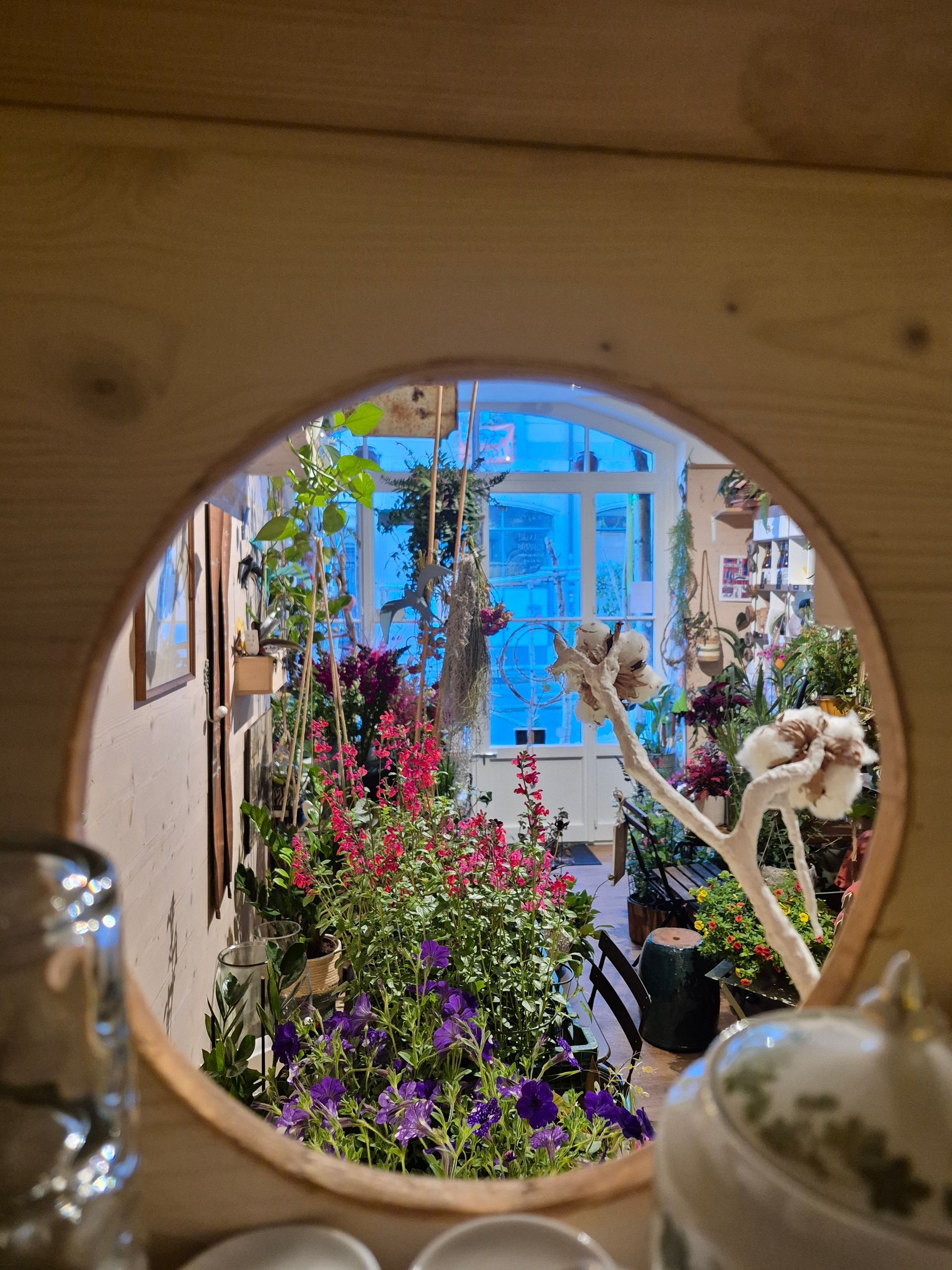 Fleurs rouges et roses en pots sur une étagère en bois dans un cadre de jardin