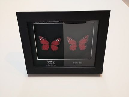 Ein Beispiel für ein eingerahmtes Bild, auf dem zwei rote Schmetterlinge zu sehen sind.