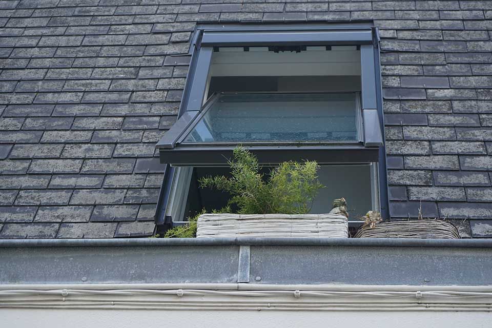 Fenêtre de toit en ardoise, ouverte avec des plantes à l'intérieur. Toit et cadre gris.