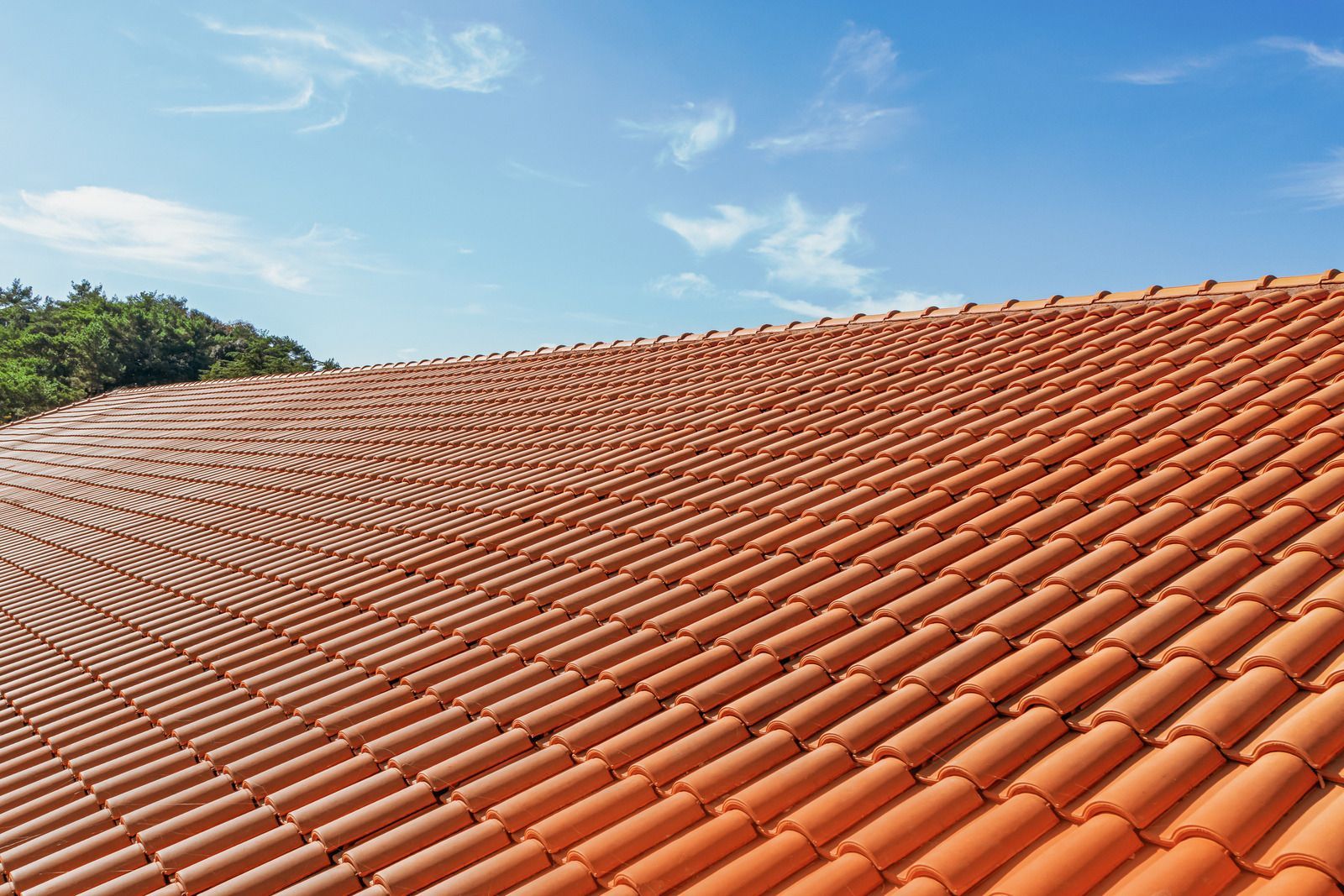 Terracotta tile roof stretching into the distance under a blue sky with trees at the edge